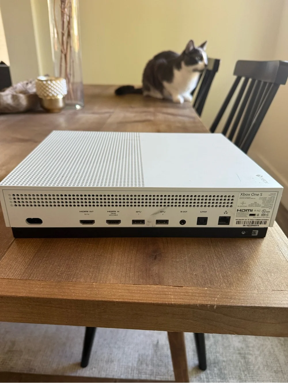 Microsoft 🎮 xbox